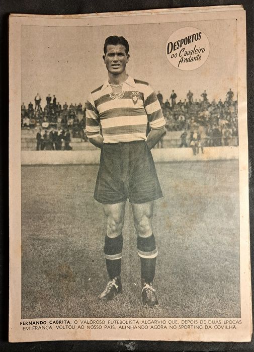 Cavaleiro Andante Várias Separatas.