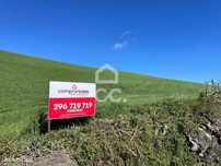 Terreno com 38.200,00 m2 - Ribeirinha - Ribeira Grande