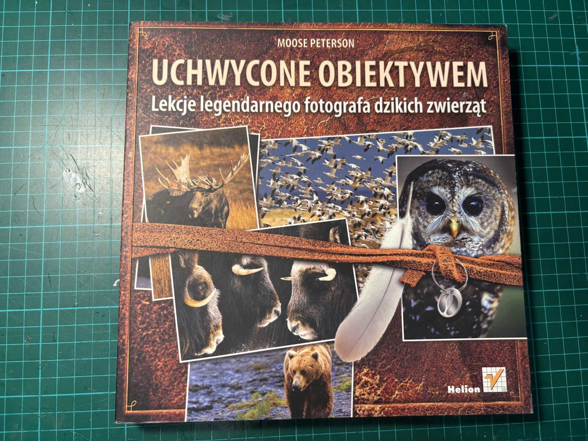 Uchwycone obiektywem - Moose Peterson