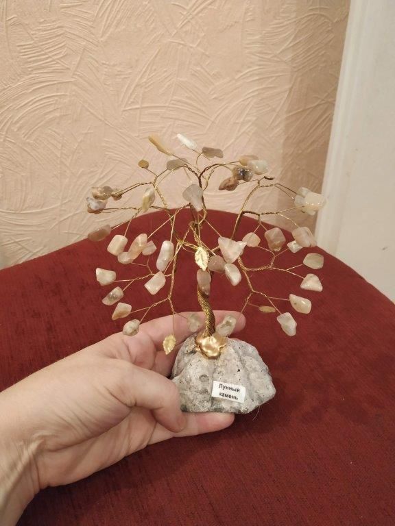 Декоративне дерево "Лунный камень"