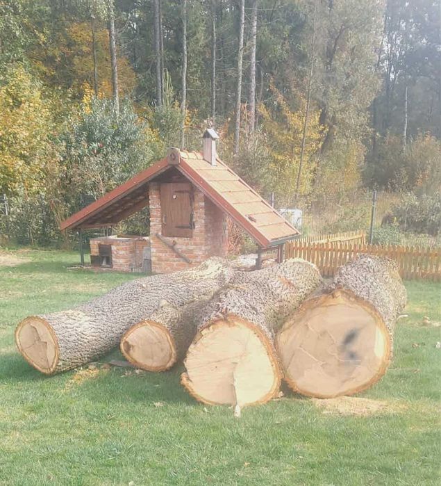 Dąb kłoda 4 sztuki w kawałku