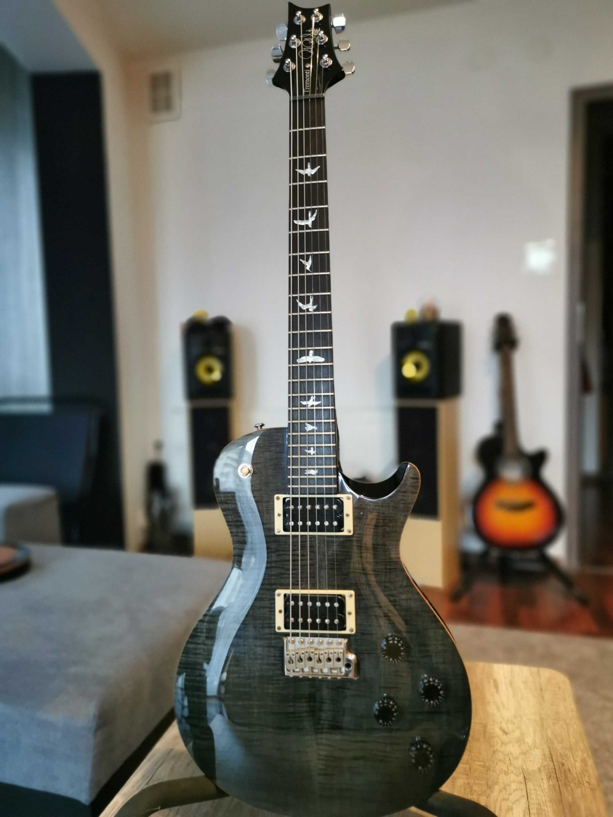 PRS SE Mark Tremonti Custom Grey Black