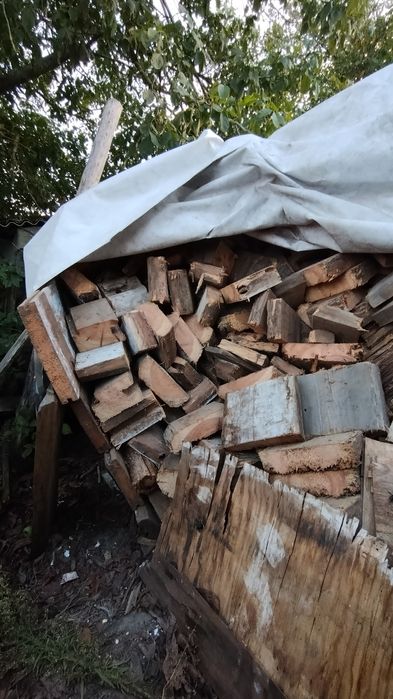 Sprzedam drzewo na opał