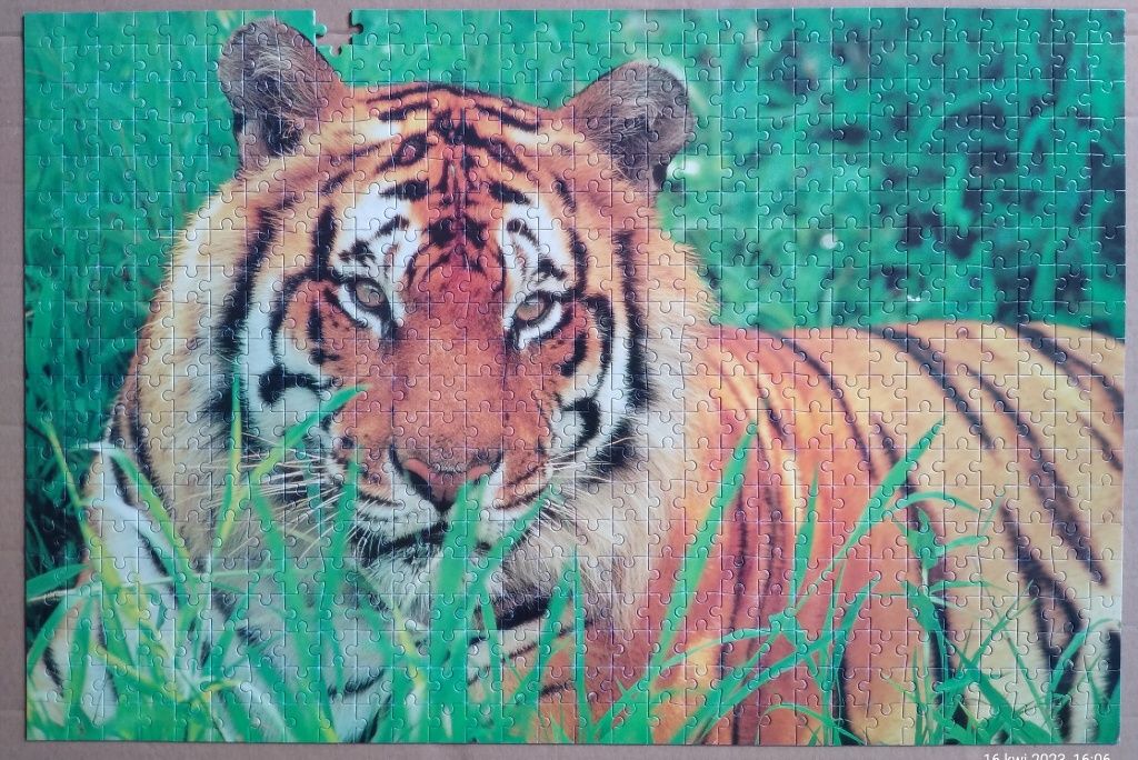 Puzzle Trefl 600 Tygrys