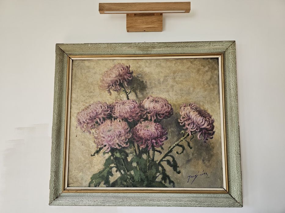 Chryzantemy Jarosiewicz