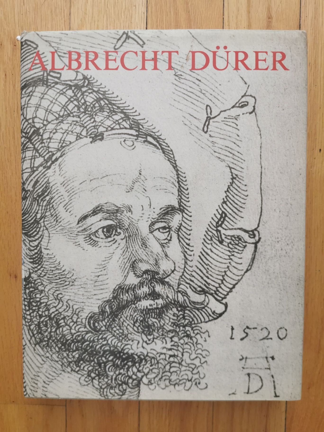 Albrecht Durer RYSUNKI