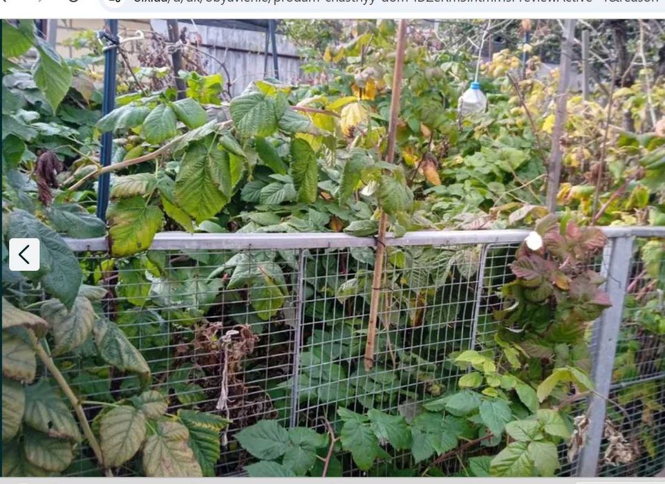 Продам дом в Покатиловке. Участок 4 сот Газовое отопление Тихий р-нTB