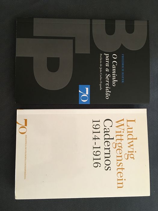 L. Wittgenstein / F. Nietzsche