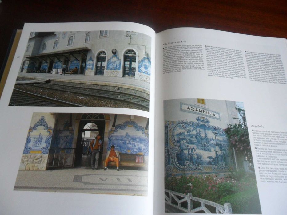 "Portugal: Painéis de Azulejos no Século XX" de Jacqueline Hengl -1987