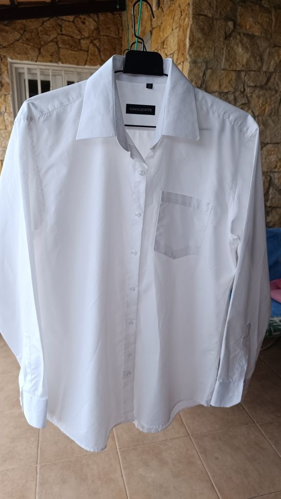 Camisas homem brancas novos lavadas