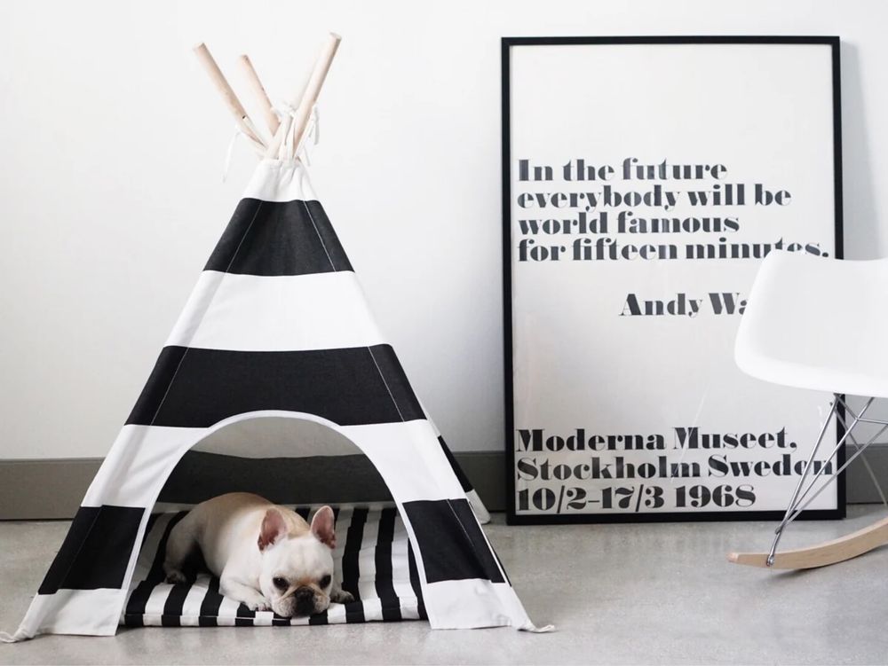 Tenda Pipolli para cães