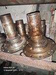 Цапфа (грибок) зил 131