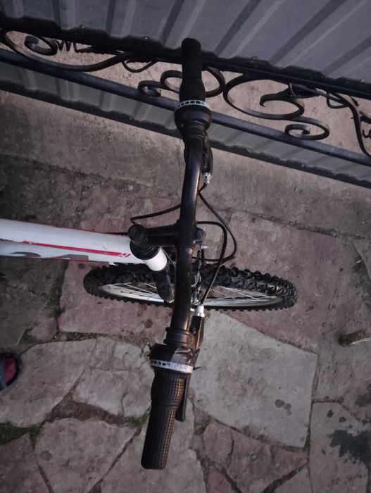 Велосипед Front 24 Sport (Італія)