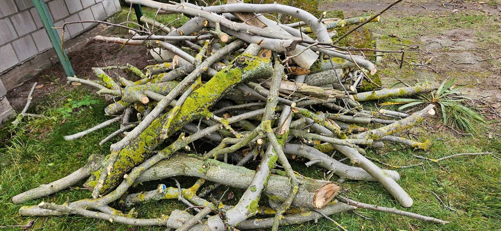 Drewno opałowe orzech pocięty na kawałki jak na zdjęciu