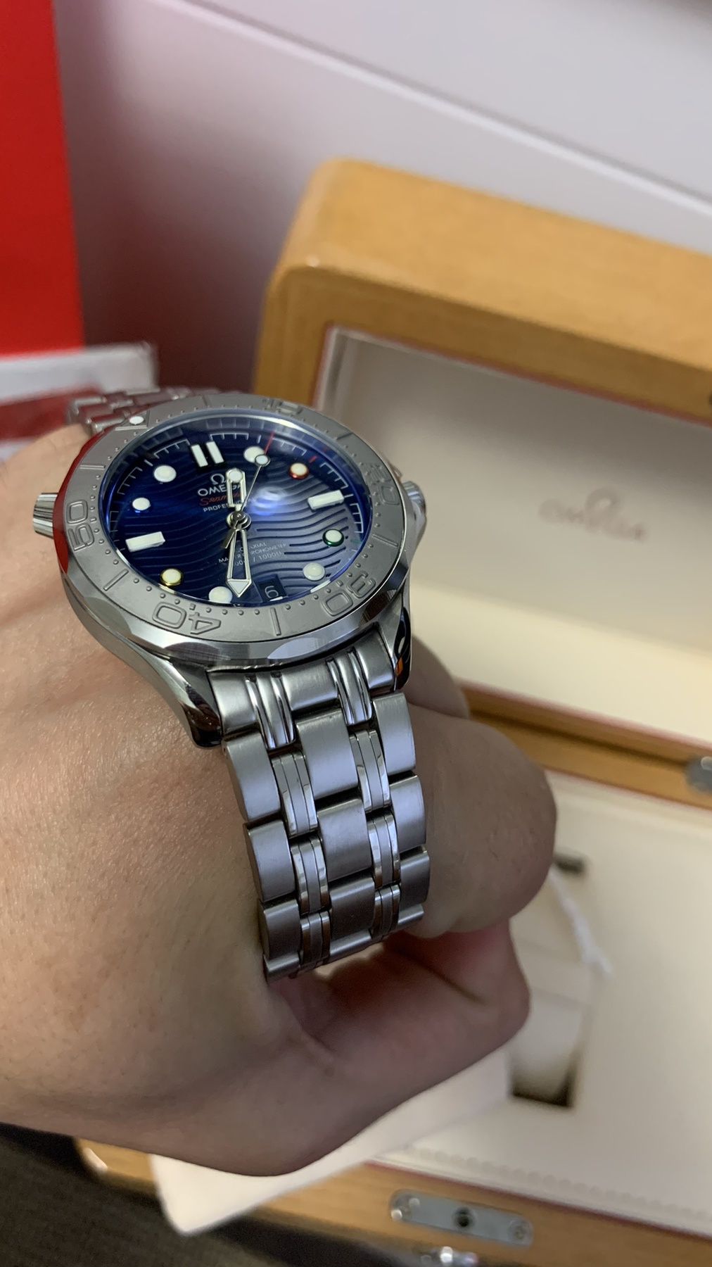 Omega seamaster proffesional