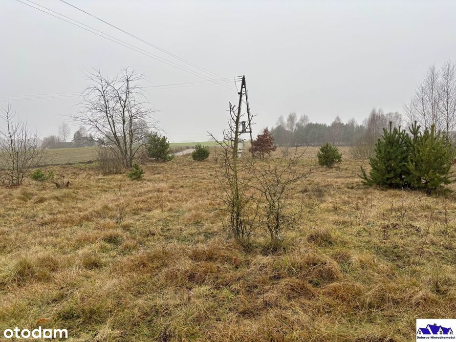 Duża działka budowlana w spokojnej okolicy