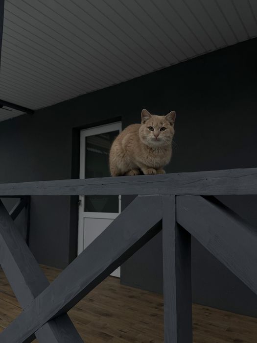 Оренда  котеджа