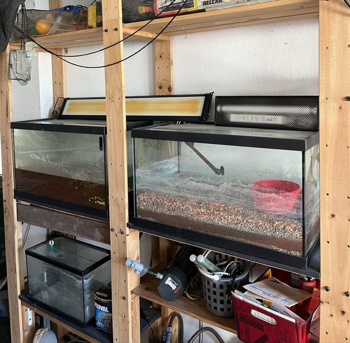 Aquários com Filtro Externo e Iluminação – Conjunto para Venda