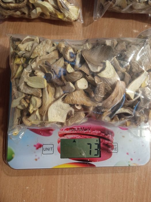 Вешенка сушеная глива