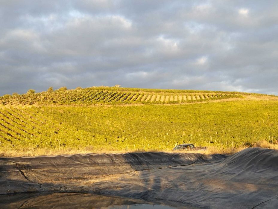 Propriedade concelho Vila Flor - Fotos adicionais