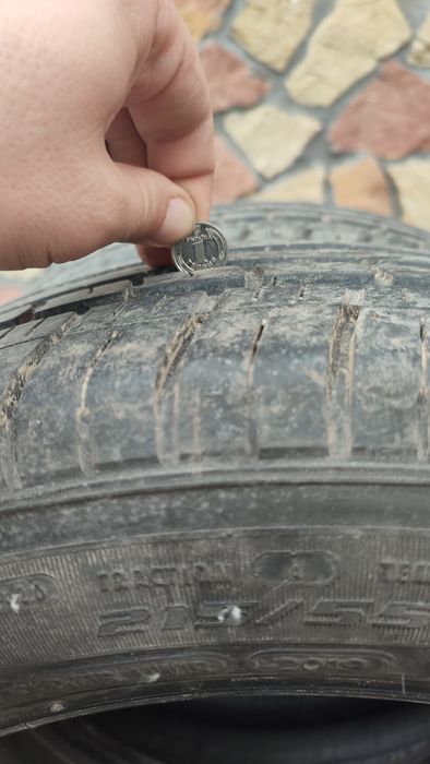 Шини 215/55 R17 Douglas Performance