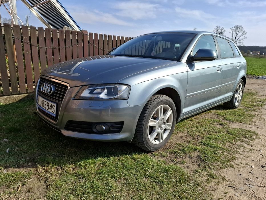 Audi a3 8p polift