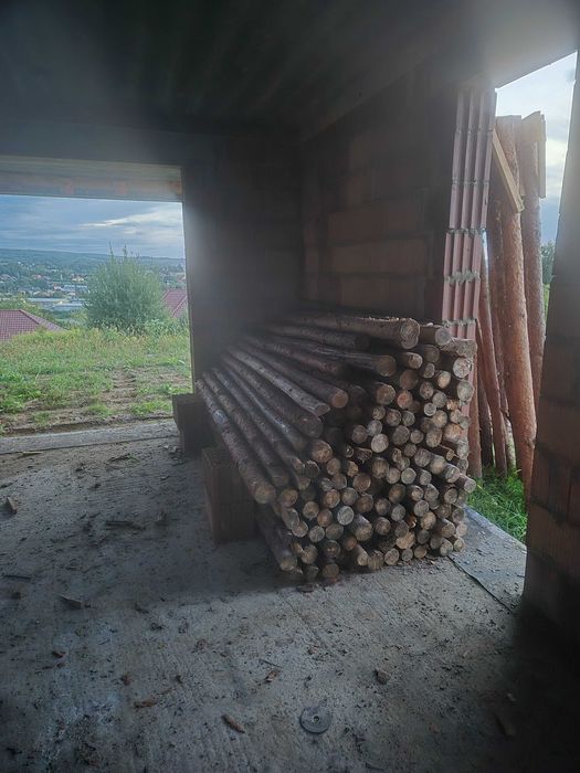 Stemple drewniane zacięte na 285 cm 350 sztuk