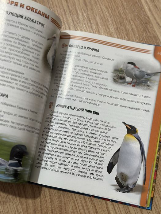 Энциклопедия для детей Жители морей и океанов