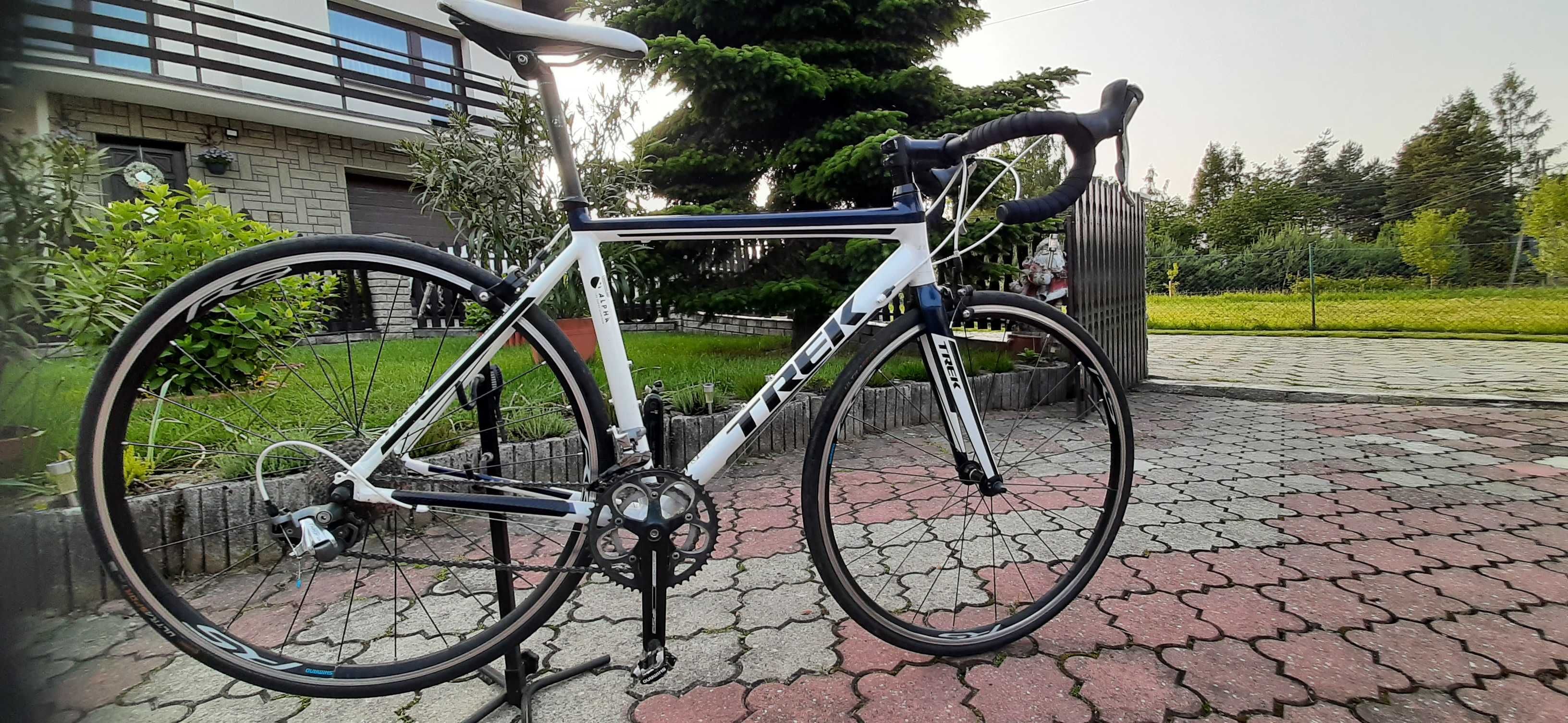 Szosa TREK SERIES 1.5  54CM