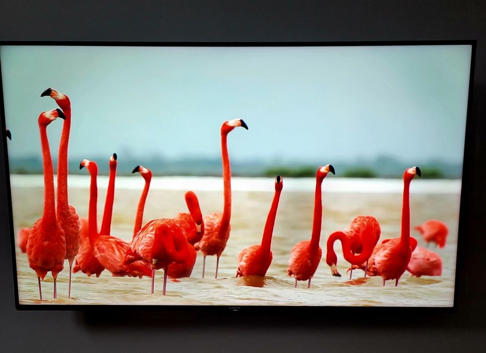 Телевізор 120Hz Sony 49 діагональ,шикарнючий 9 серії