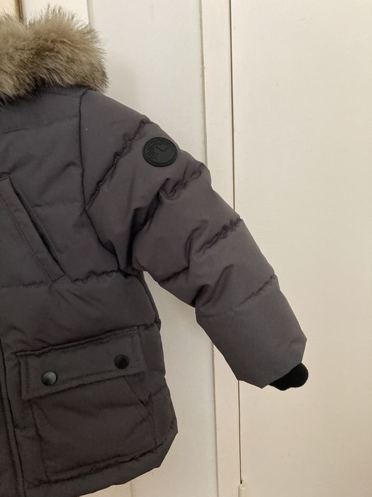 Quispe unix cinzento