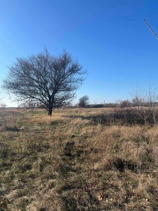 Продам земельну ділянку неподалік р. Псел у Потоках