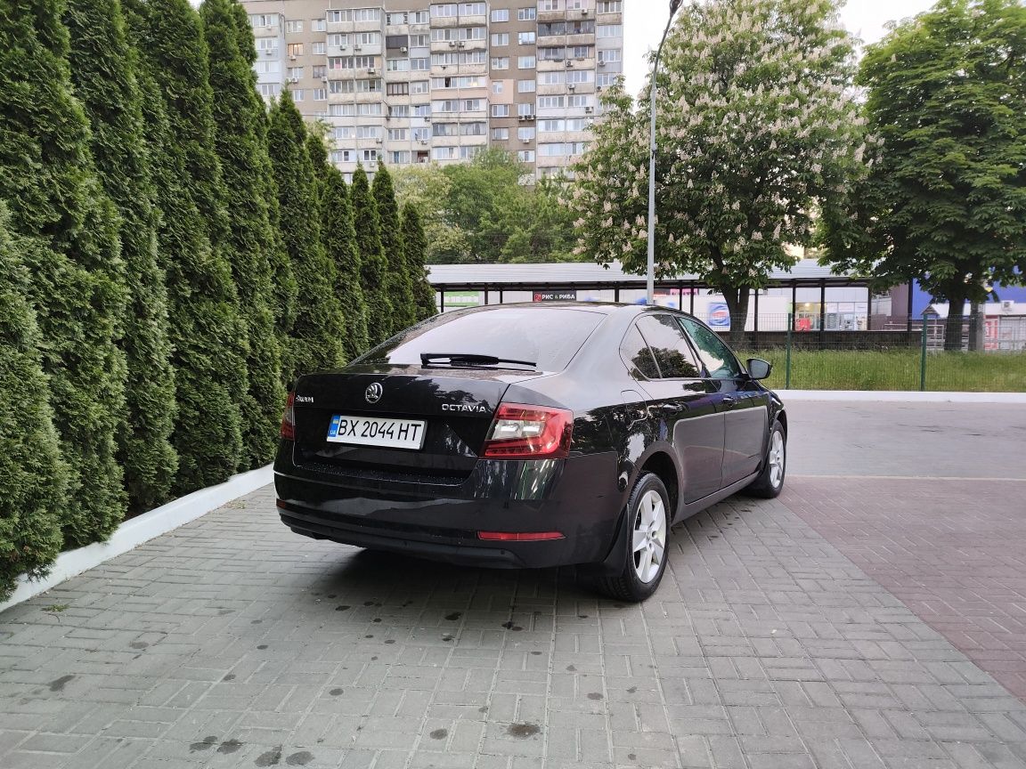 Skoda Octavia A7, 2019, автомат, офіційна