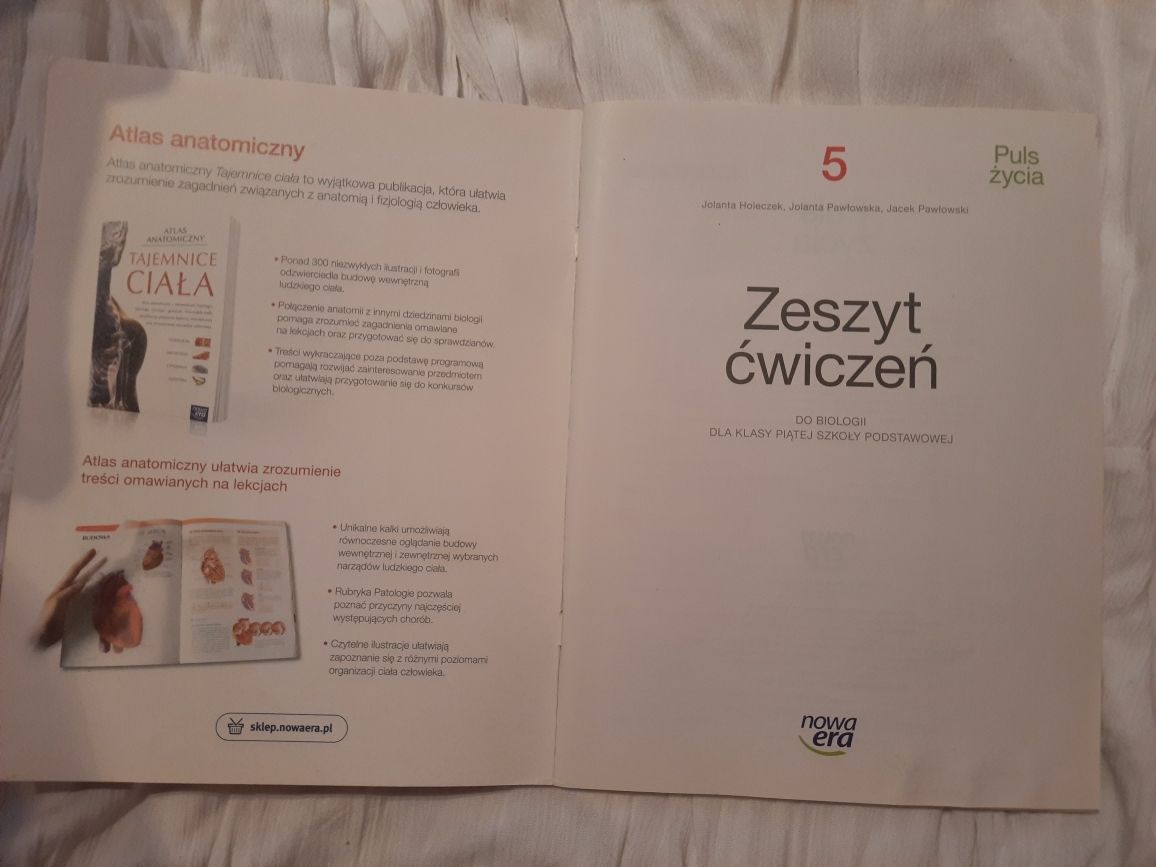 Zeszyt ćwiczeń biologia klasa 5