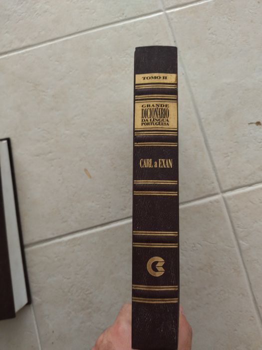 Grande dicionário de língua portuguesa