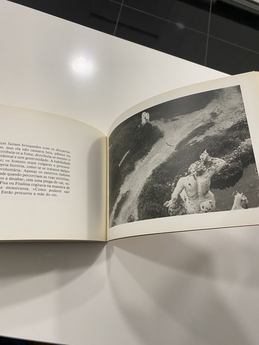 A Mãe de um Rio - Agustina Bessa-Luís