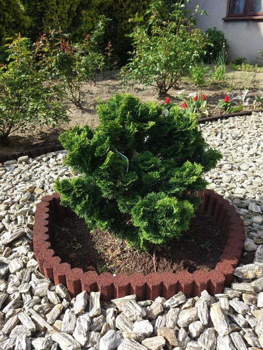 Elastyczna palisada gumowa – ogród, boisko, przedszkole, szkoła