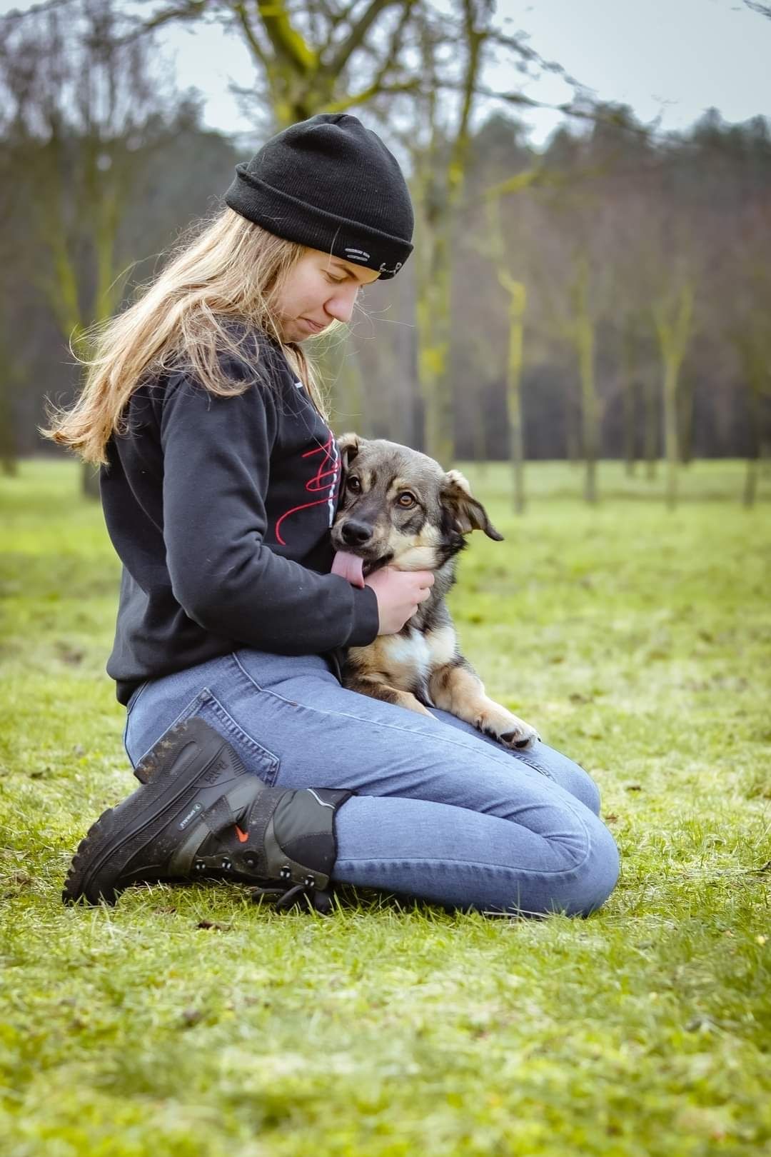 Podrośnięty Szczeniak szuka Domu! Słodki maluch do adopcji!