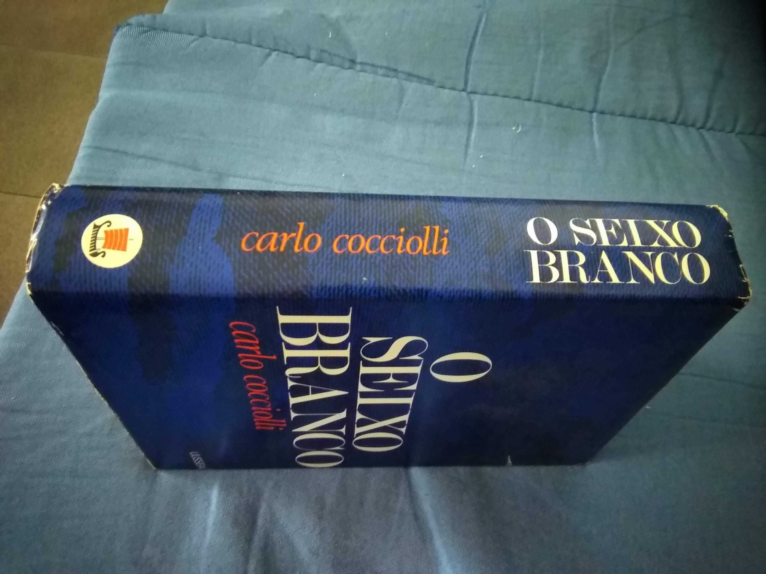 Livro - O seixo branco