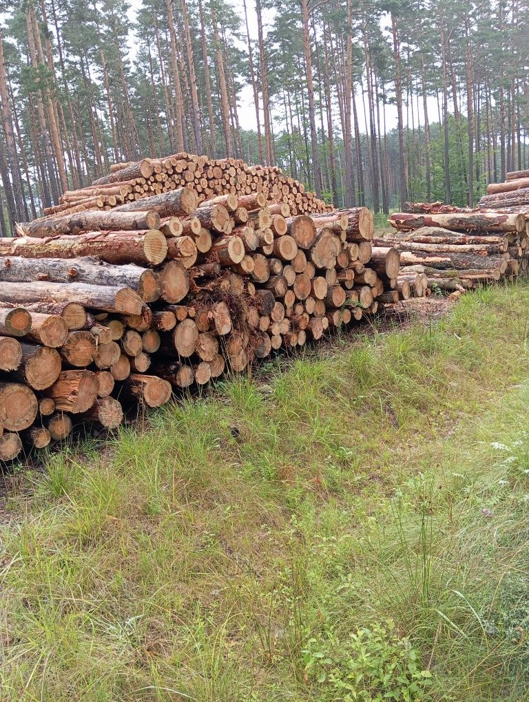 Drewno opałowe i kominkowe