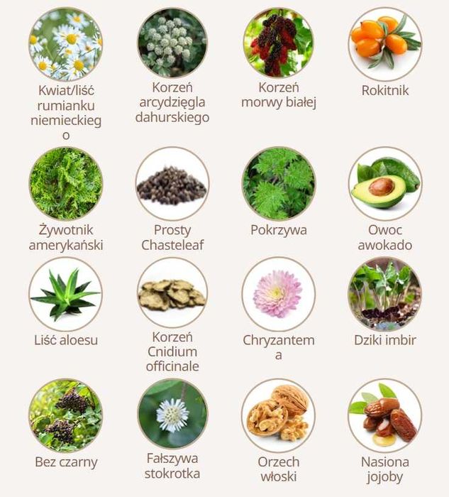 Atomy Herbal Hair Shampoo