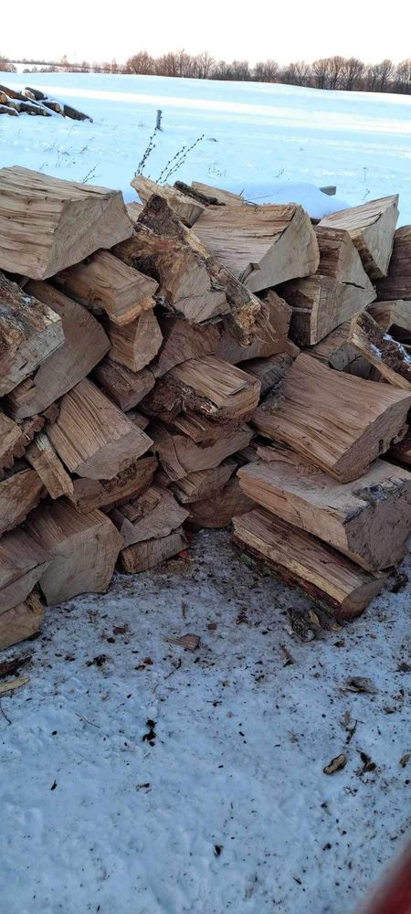 Drewno kominkowe dąb