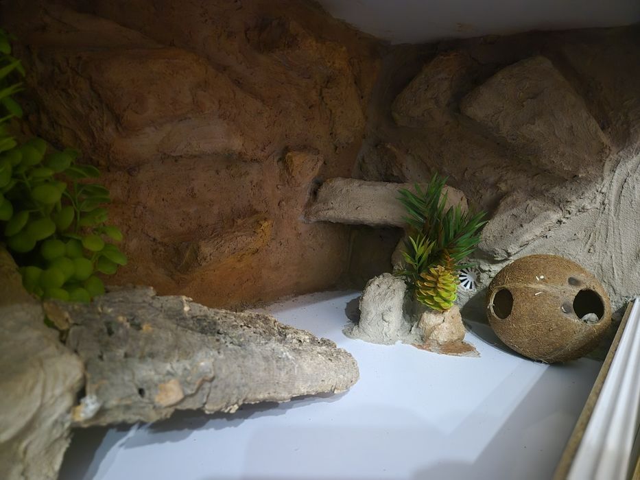 Nowe Gotowe Terrarium 80x40x40