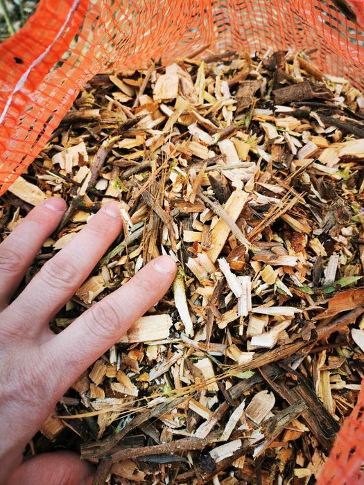 Zrębka w workach z drewna liściastego bez liści
