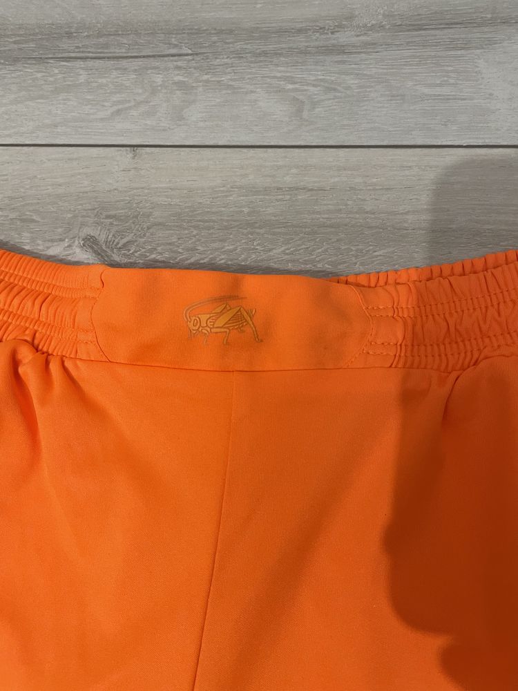 Футбольні шорти Nike Chelsea Puma Grasshopper