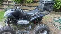 Qlad  150 shineray