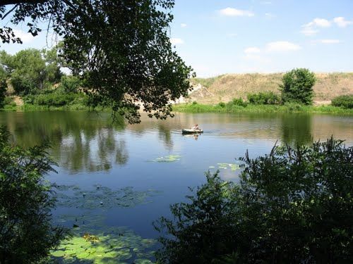 Земельный участок возле соснового бора на озере Сомивка