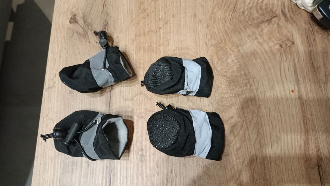 Nowe Buciki buty dla małego pieska