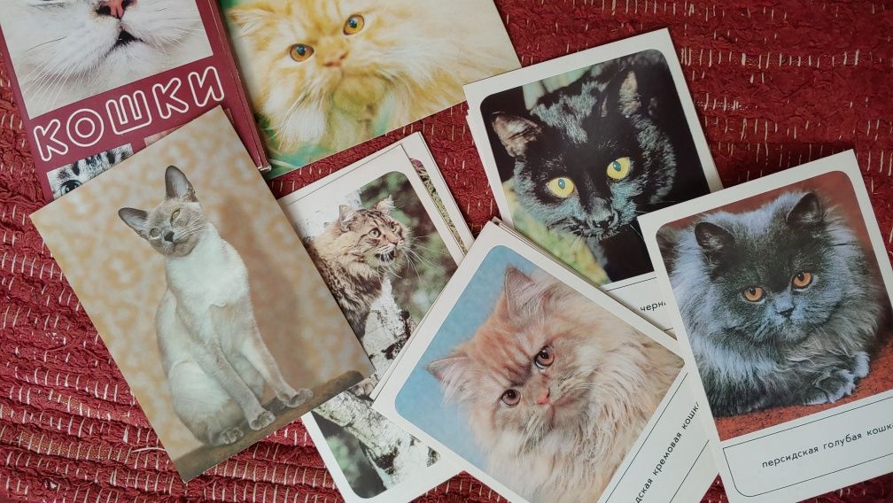 Набор открыток котов SSSR