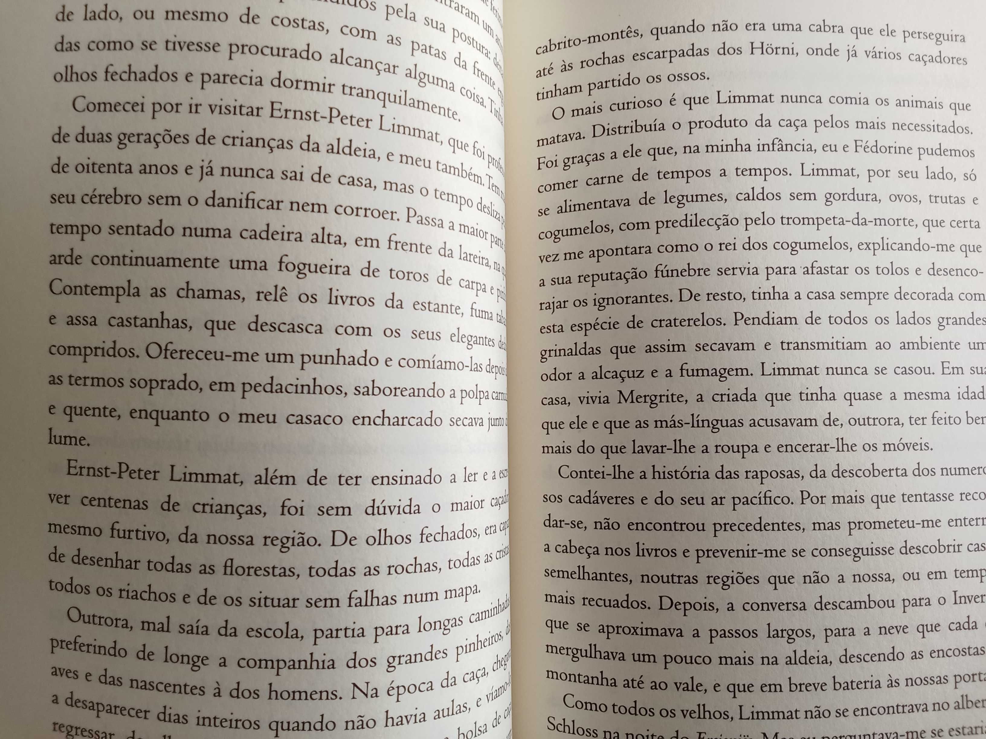 Philippe Claudel - O relatório de Brodeck